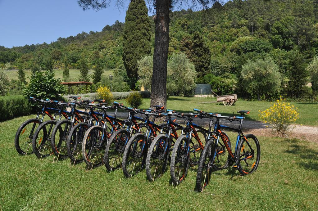 Agriturismo Eco-Bio Belmonte Vacanze Montaione Exterior photo