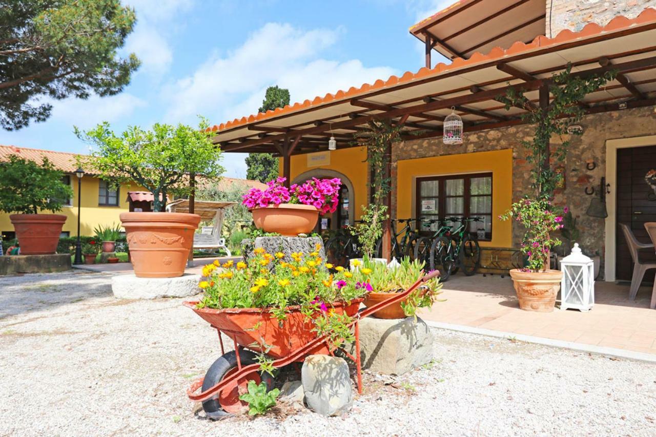 Agriturismo Eco-Bio Belmonte Vacanze Montaione Exterior photo